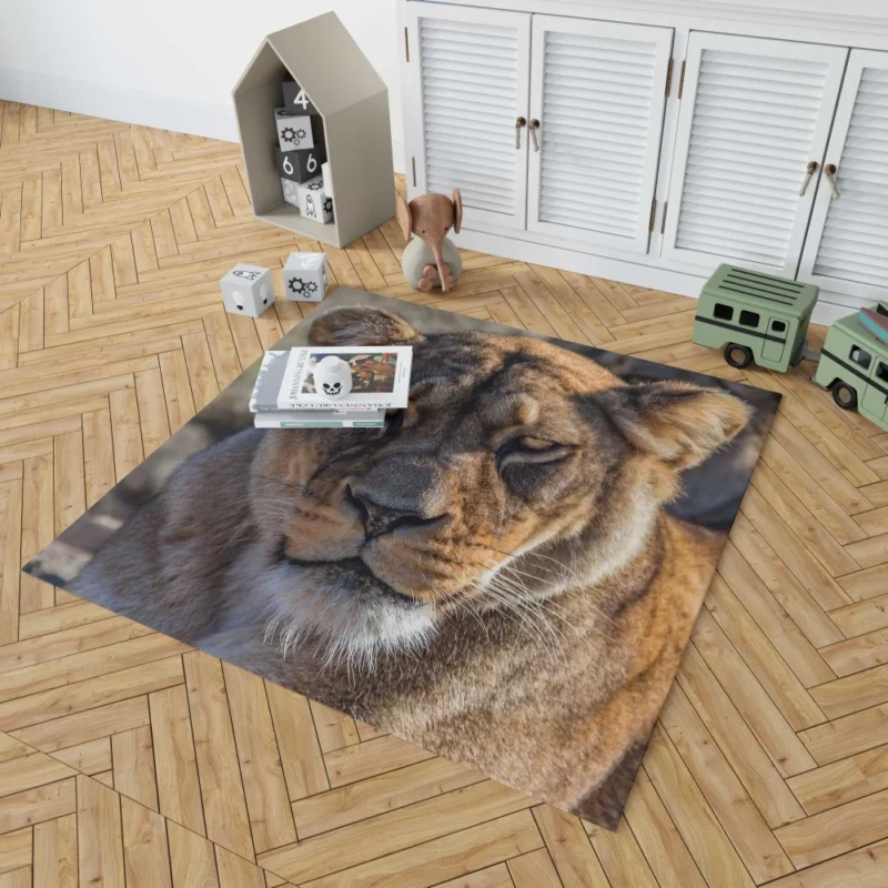 Lion Nomadic Rug 1