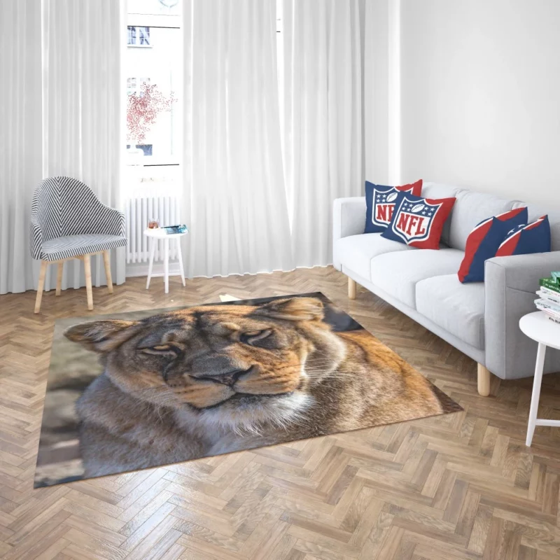 Lion Nomadic Rug 2