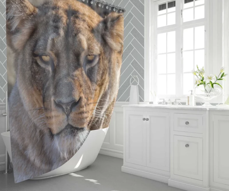 Lion Nomadic Shower Curtain 1