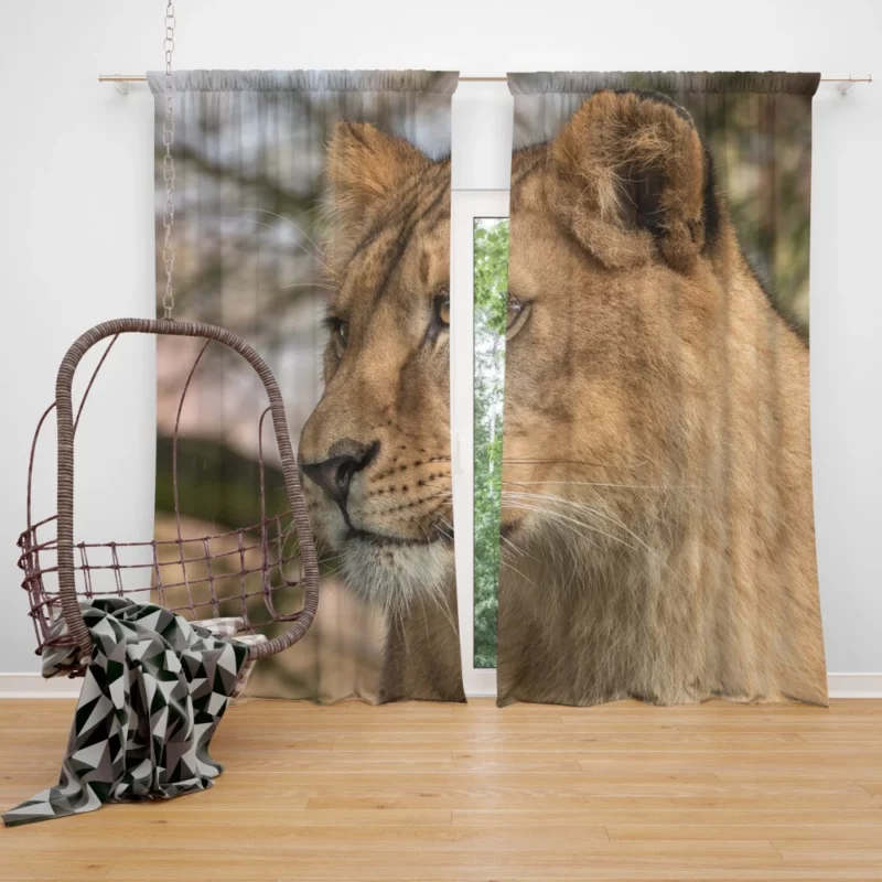 Lion Primitive Curtain