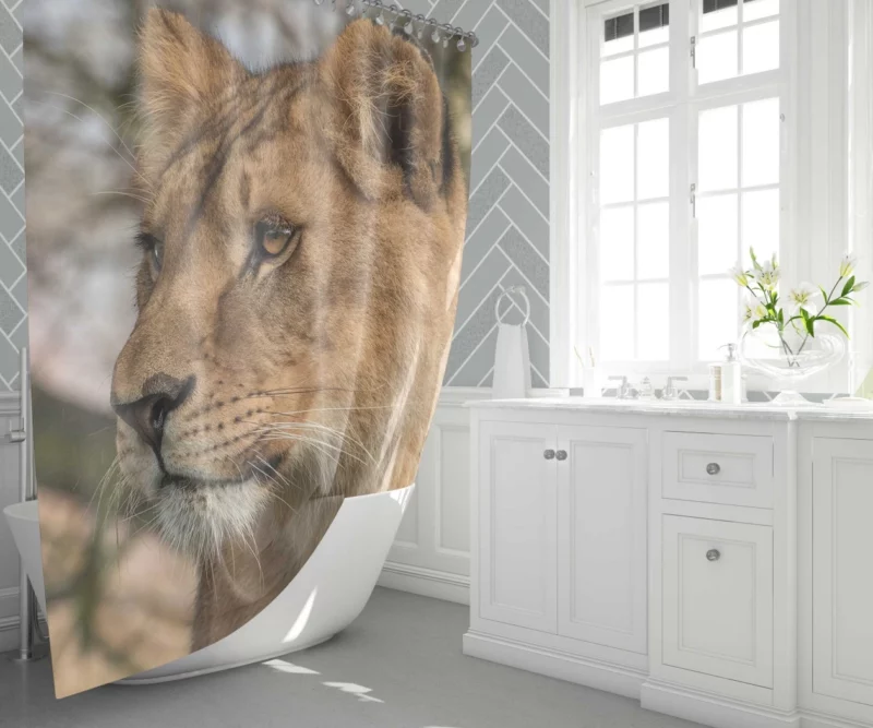 Lion Primitive Shower Curtain 1