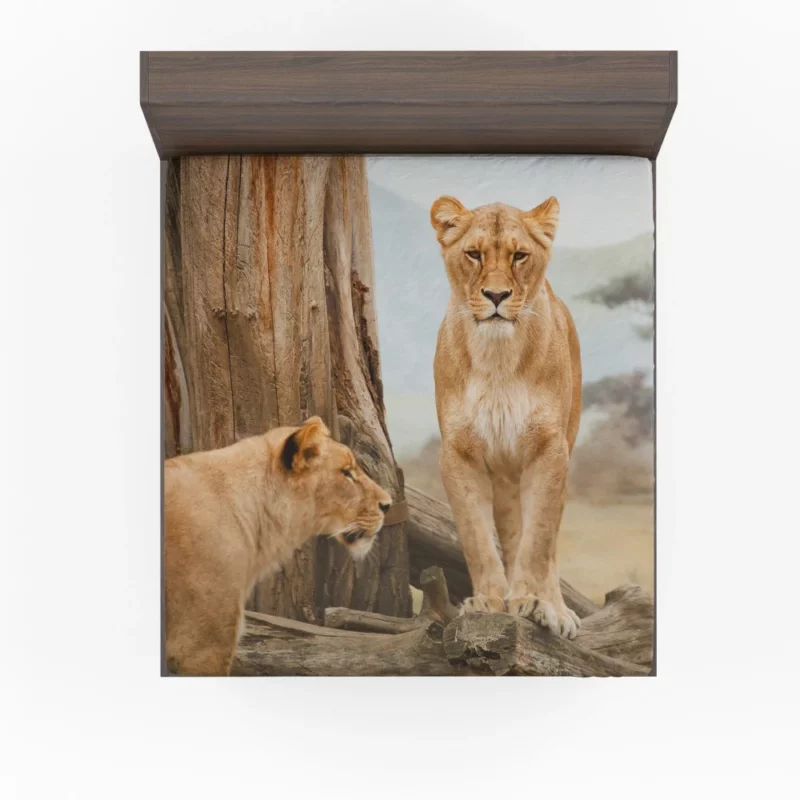 Lion Regal Gaze Wilderness Majesty Fitted Sheet 1