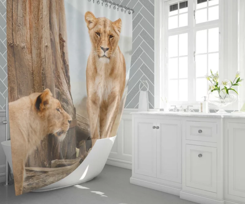 Lion Regal Gaze Wilderness Majesty Shower Curtain 1