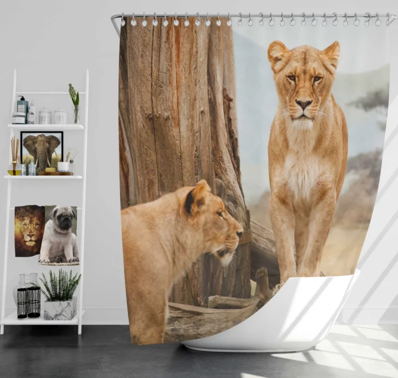 Lion Regal Gaze Wilderness Majesty Shower Curtain