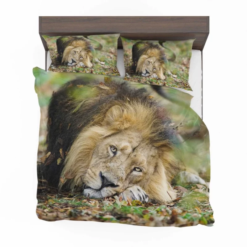 Lion Regal Presence Bedding Set 1