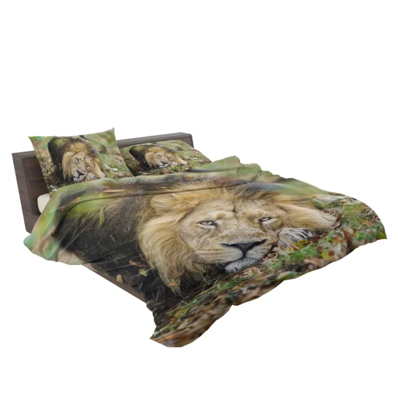 Lion Regal Presence Bedding Set 2