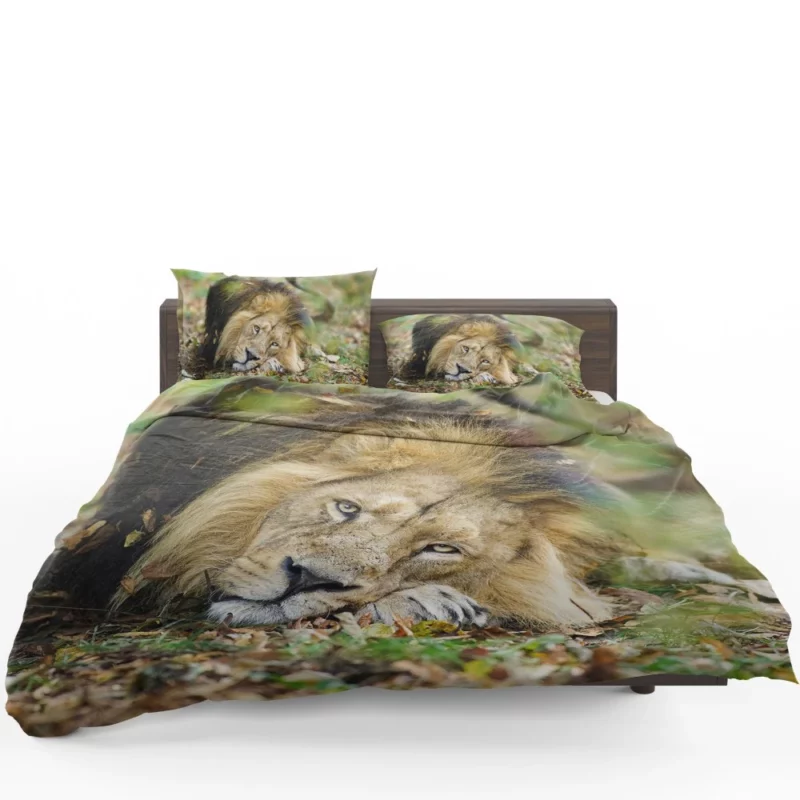 Lion Regal Presence Bedding Set