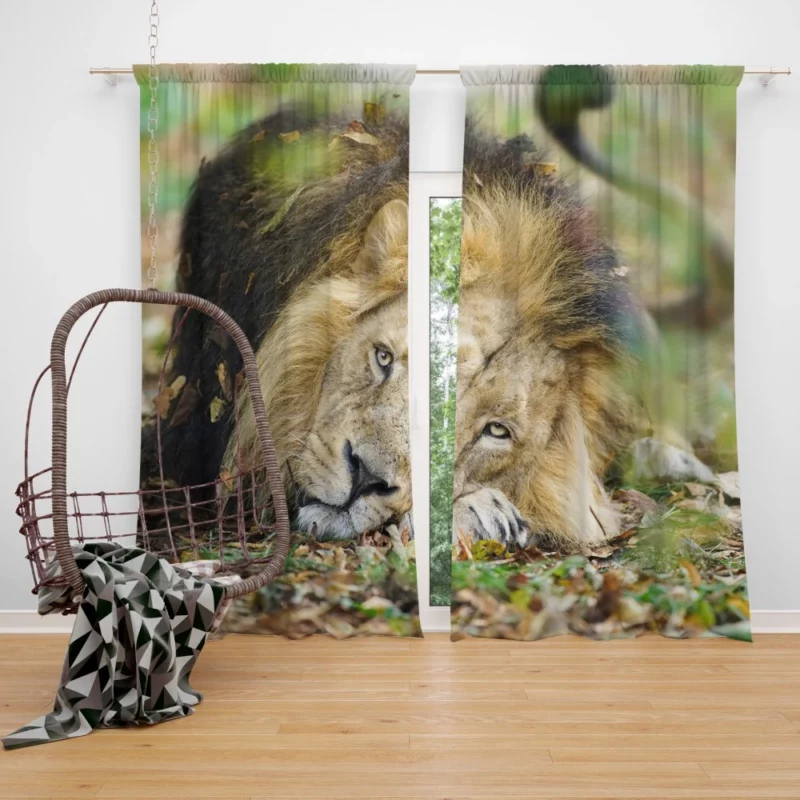 Lion Regal Presence Curtain