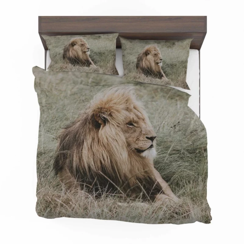 Lion Regal Presence Grassland Majesty Bedding Set 1