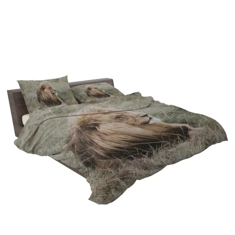 Lion Regal Presence Grassland Majesty Bedding Set 2