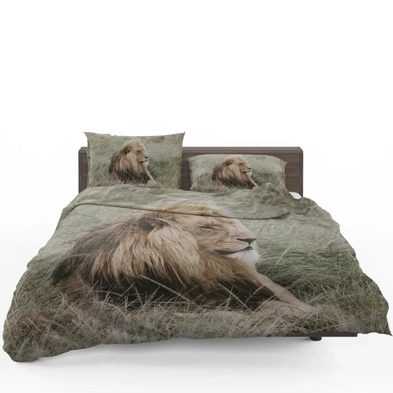 Lion Regal Presence Grassland Majesty Bedding Set