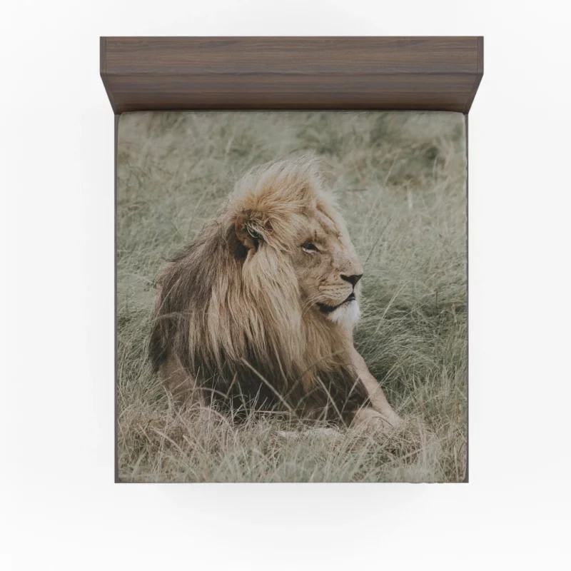 Lion Regal Presence Grassland Majesty Fitted Sheet 1