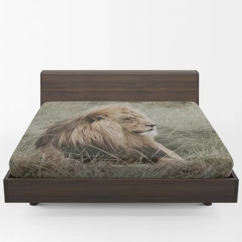 Lion Regal Presence Grassland Majesty Fitted Sheet