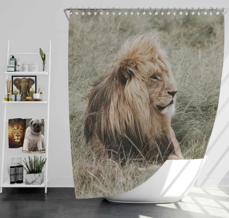 Lion Regal Presence Grassland Majesty Shower Curtain