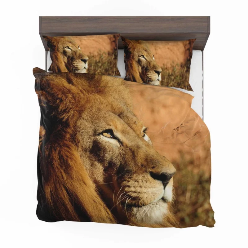 Lion Regal Presence Majesty Unleashed Bedding Set 1