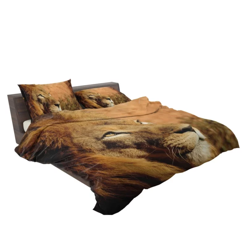 Lion Regal Presence Majesty Unleashed Bedding Set 2