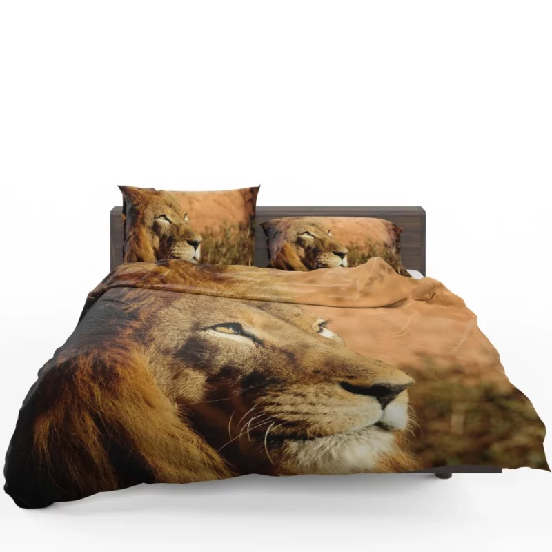 Lion Regal Presence Majesty Unleashed Bedding Set