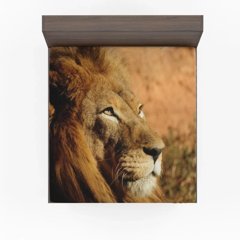 Lion Regal Presence Majesty Unleashed Fitted Sheet 1