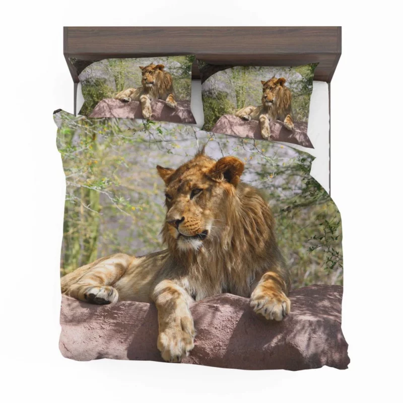 Lion Regal Presence Majesty Unveiled Bedding Set 1