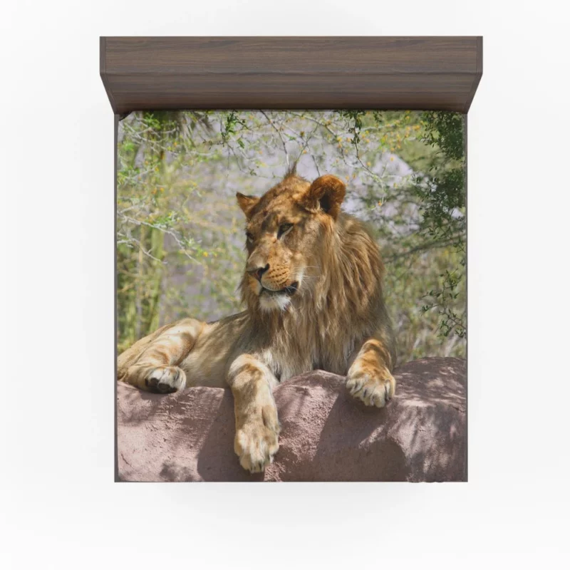 Lion Regal Presence Majesty Unveiled Fitted Sheet 1