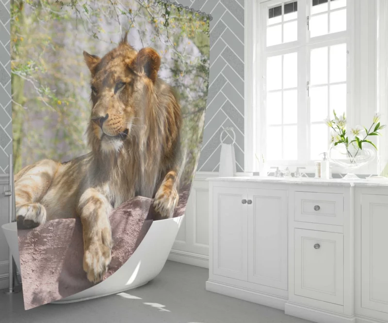 Lion Regal Presence Majesty Unveiled Shower Curtain 1