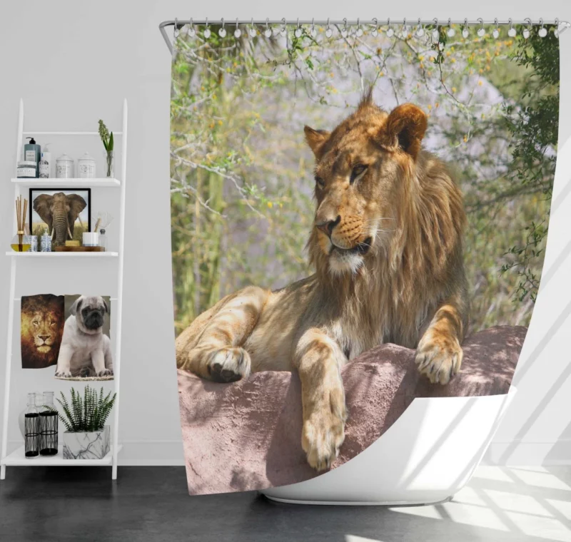 Lion Regal Presence Majesty Unveiled Shower Curtain