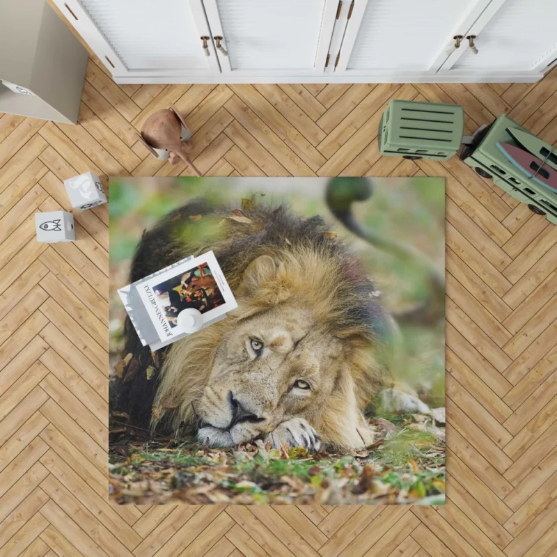 Lion Regal Presence Rug