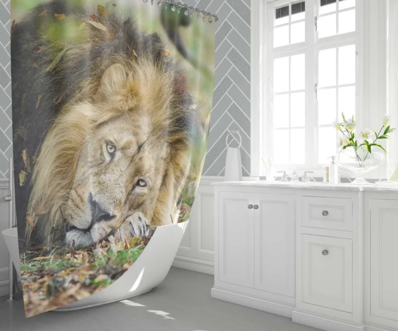 Lion Regal Presence Shower Curtain 1