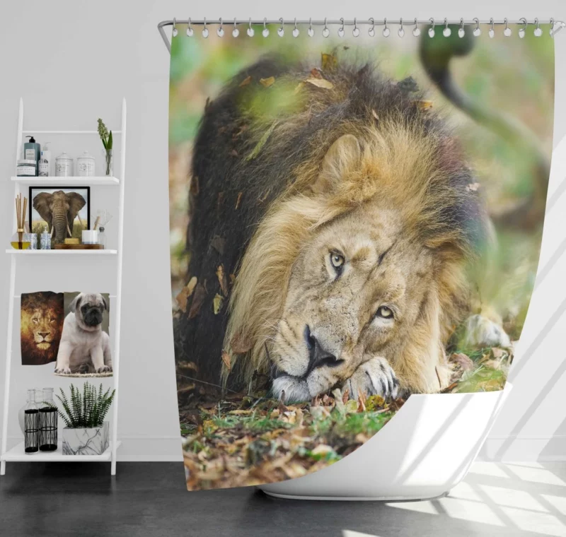 Lion Regal Presence Shower Curtain