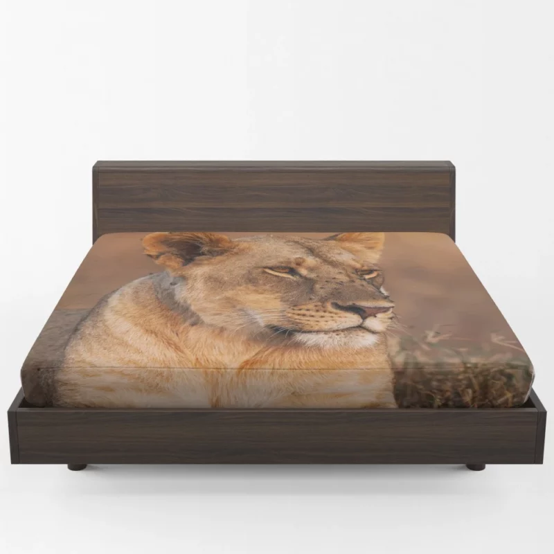 Lion Regal Presence Wilderness Majesty Fitted Sheet