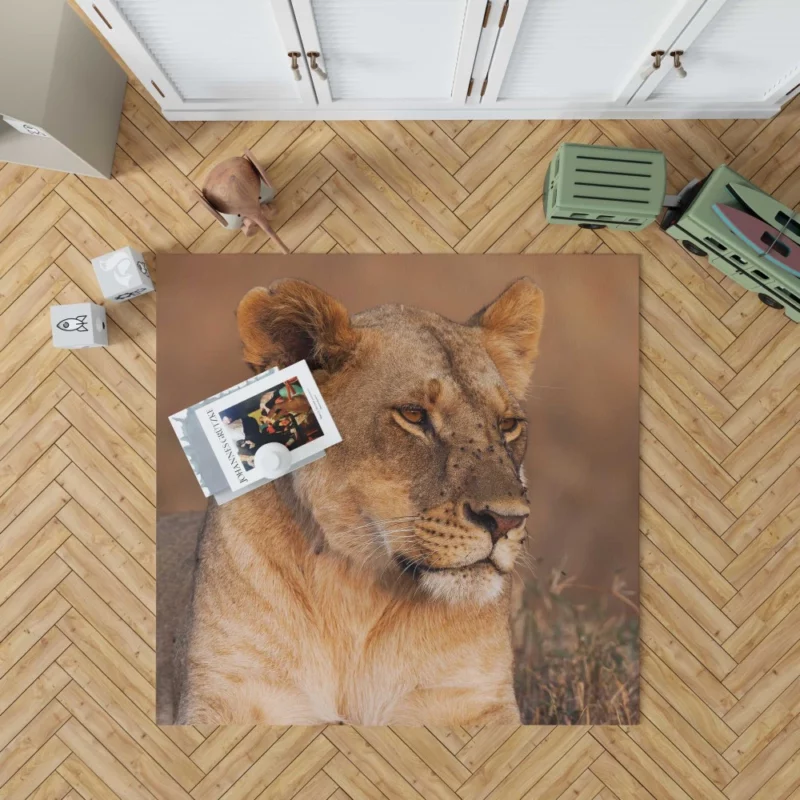 Lion Regal Presence Wilderness Majesty Rug