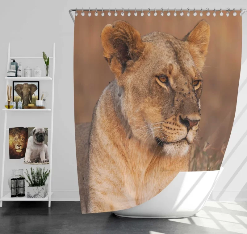 Lion Regal Presence Wilderness Majesty Shower Curtain