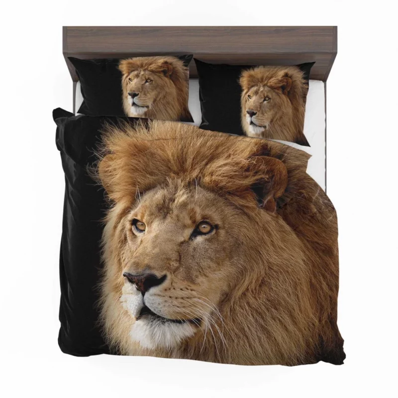 Lion Regal Roar Monarch Anthem Bedding Set 1