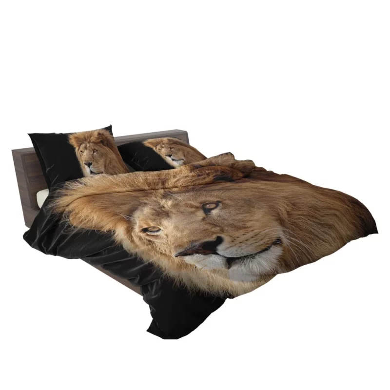 Lion Regal Roar Monarch Anthem Bedding Set 2