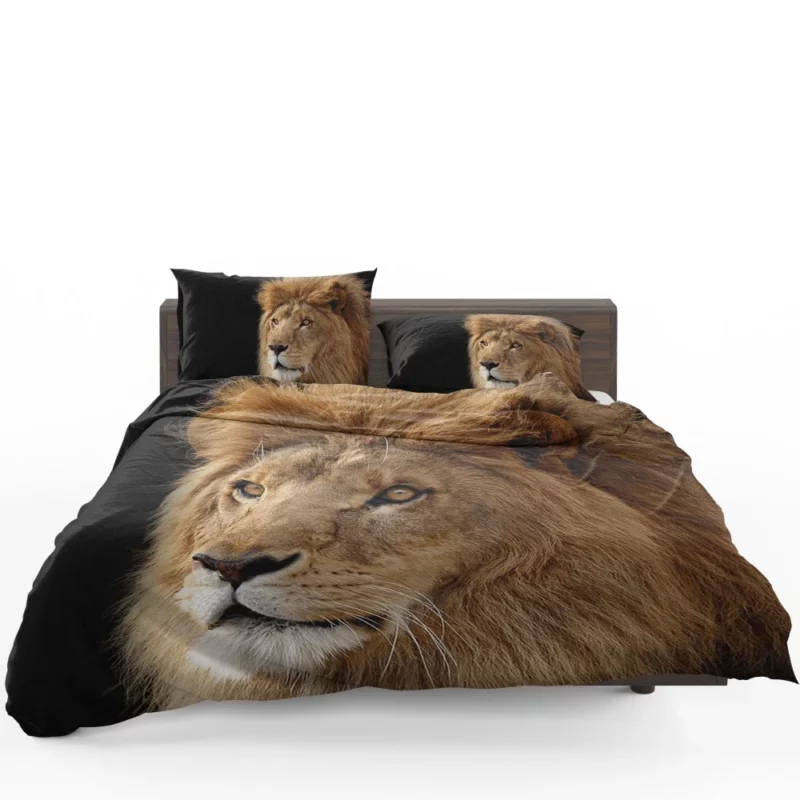 Lion Regal Roar Monarch Anthem Bedding Set