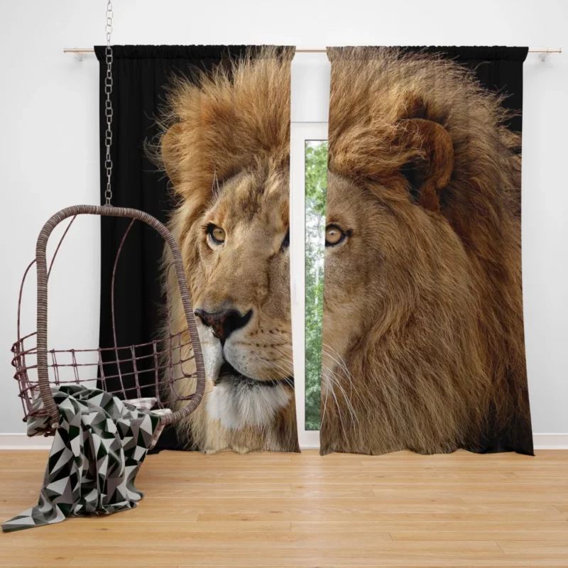 Lion Regal Roar Monarch Anthem Curtain