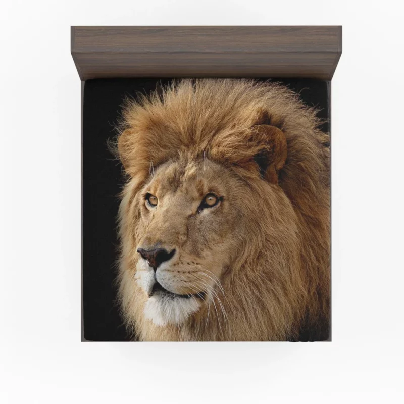 Lion Regal Roar Monarch Anthem Fitted Sheet 1