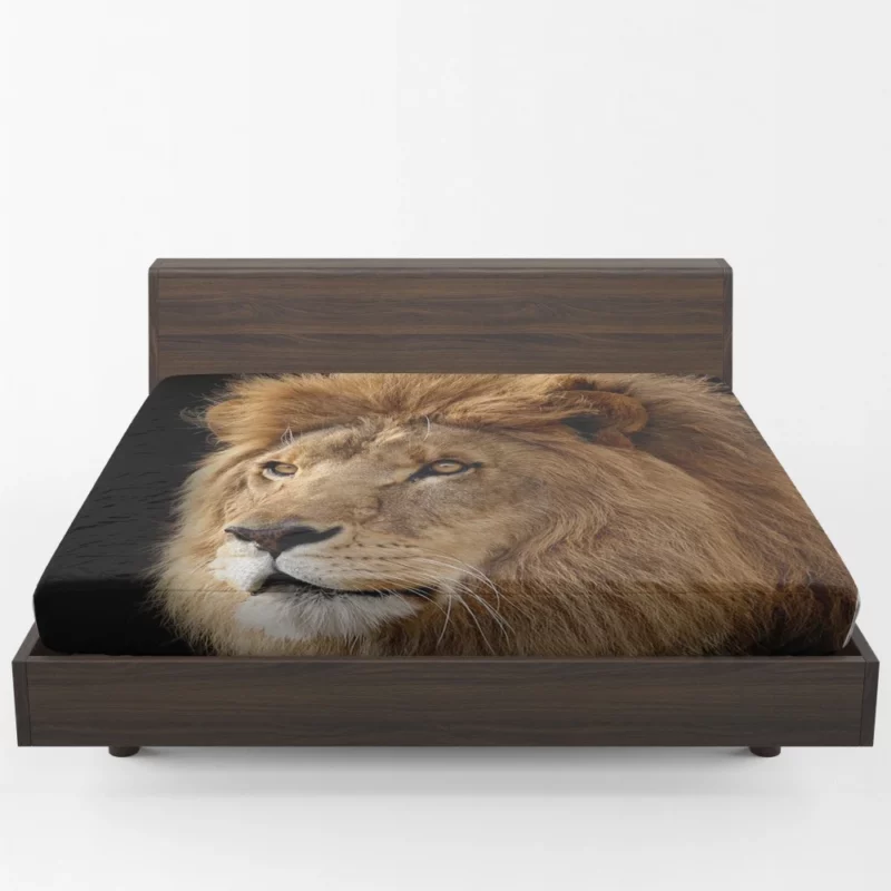 Lion Regal Roar Monarch Anthem Fitted Sheet