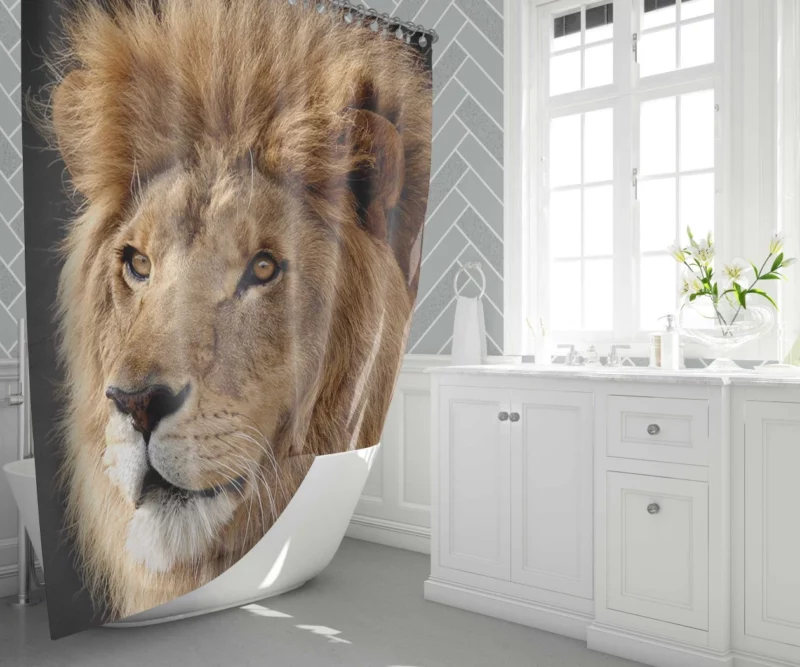 Lion Regal Roar Monarch Anthem Shower Curtain 1