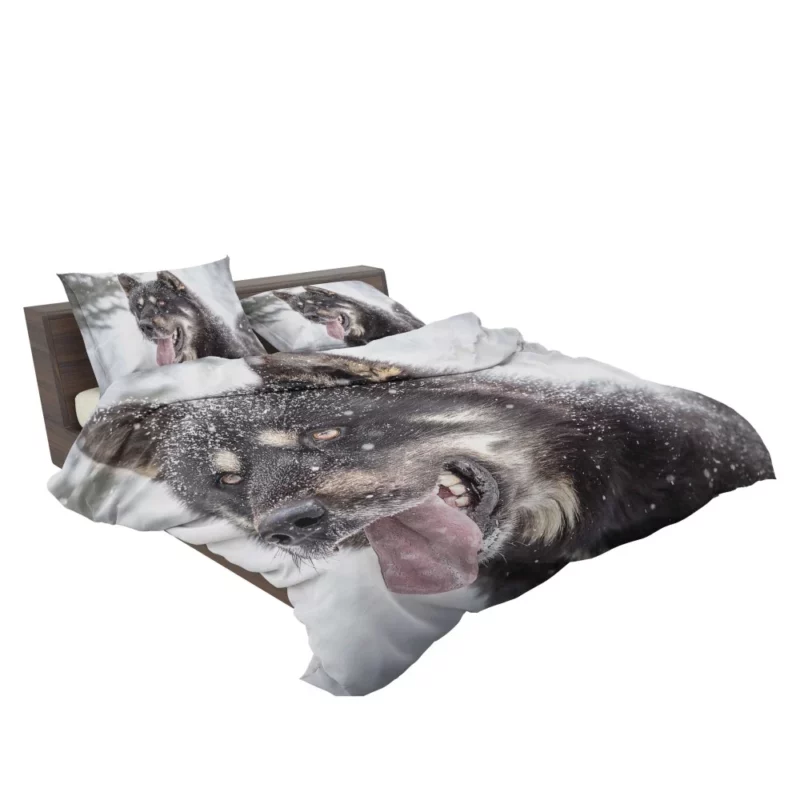 Lion Regal Stance Enigmatic Majesty Bedding Set 2