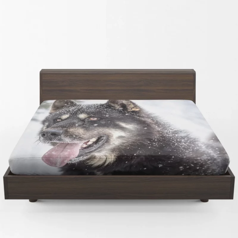 Lion Regal Stance Enigmatic Majesty Fitted Sheet