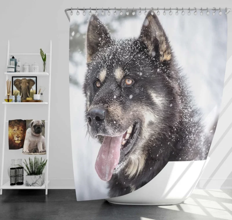 Lion Regal Stance Enigmatic Majesty Shower Curtain