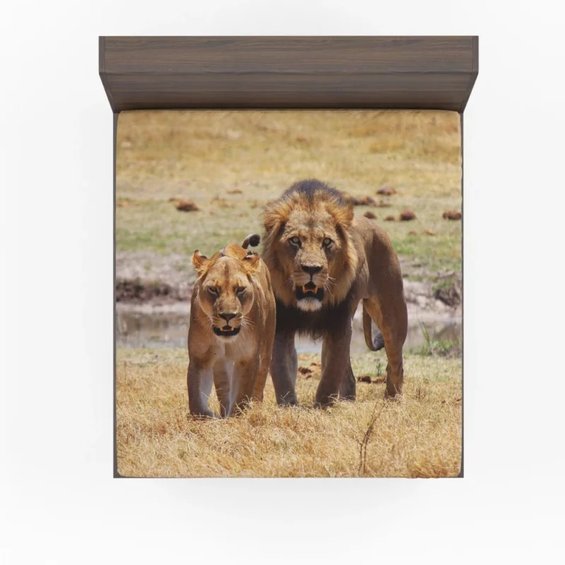 Lion Regal Stance Kingly Authority Fitted Sheet 1