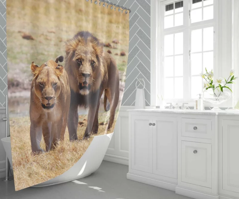 Lion Regal Stance Kingly Authority Shower Curtain 1