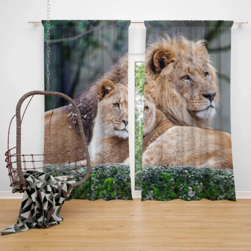 Lion Regal Stance Kingly Essence Curtain