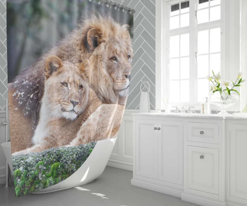 Lion Regal Stance Kingly Essence Shower Curtain 1