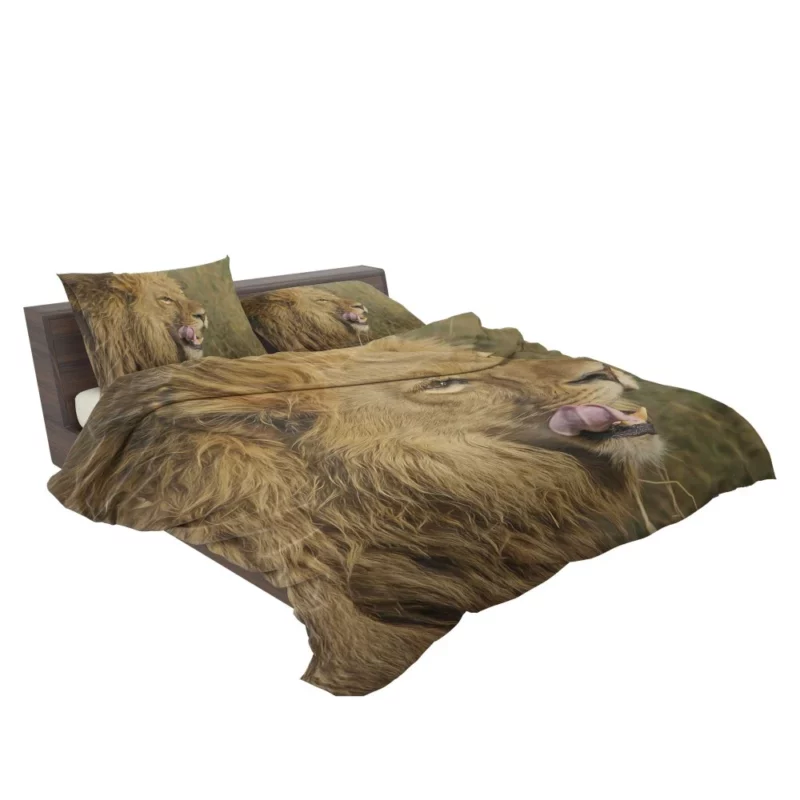 Lion Regal Stance Wilderness Dominance Bedding Set 2