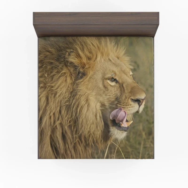 Lion Regal Stance Wilderness Dominance Fitted Sheet 1