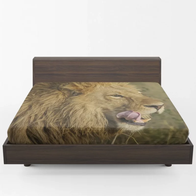 Lion Regal Stance Wilderness Dominance Fitted Sheet