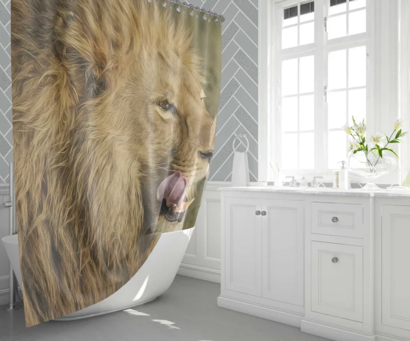 Lion Regal Stance Wilderness Dominance Shower Curtain 1